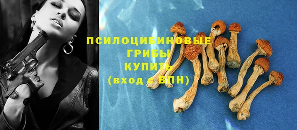 первитин Арсеньев