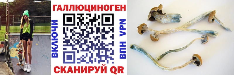продажа наркотиков  Кубинка  Галлюциногенные грибы мухоморы 