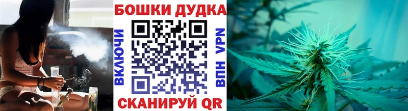 Каннабис сатива  купить  сайты  Кубинка 